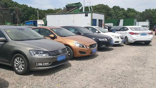 低价买二手精品车,到手傻眼了 真相竟是