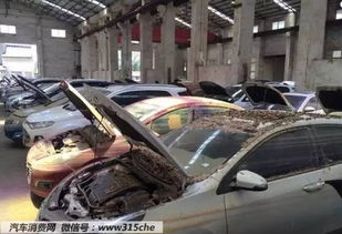上万泡水车来袭,购车需谨慎